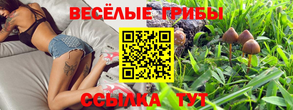 Псилоцибиновые грибы GOLDEN TEACHER Озёры