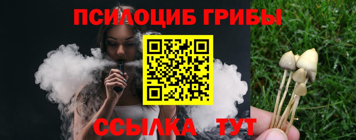 Озёры  Псилоцибиновые грибы Psilocybe  Вход с VPN 